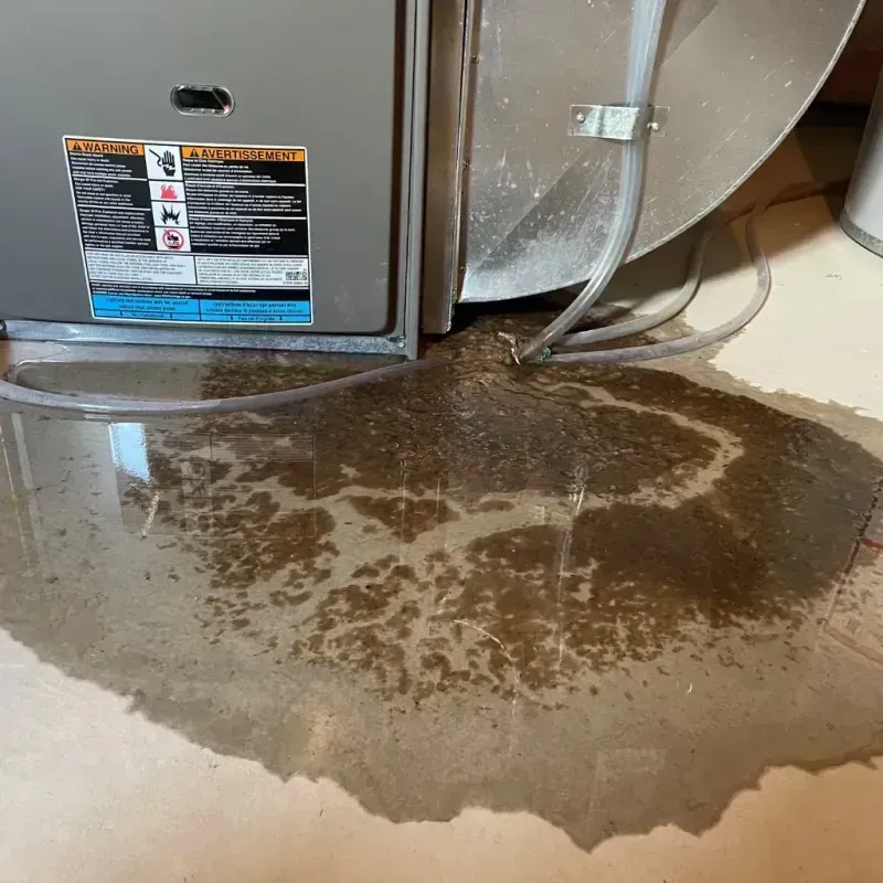 Appliance Leak Cleanup in Plain City, OH